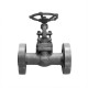 Control Forged Steel 1" Globe Valve