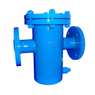 Basket Type Strainer